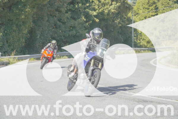 <h1 class="product-title">thumb_FF109560</h1>