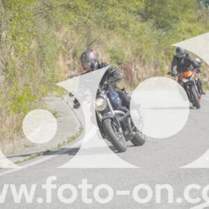 thumb_FF109581