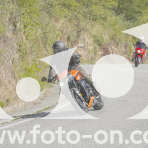 thumb_FF109582