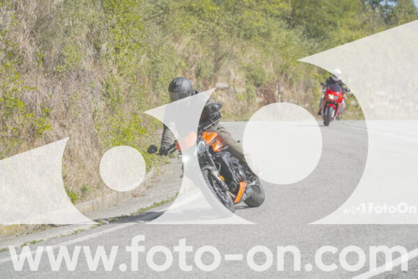 <h1 class="product-title">thumb_FF109582</h1>