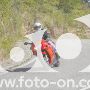 thumb_FF109583
