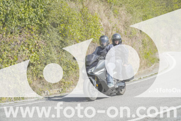<h1 class="product-title">thumb_FF109592</h1>