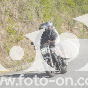thumb_FF109596