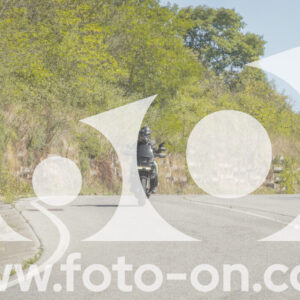 thumb_FF109598