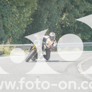 thumb_FF109599