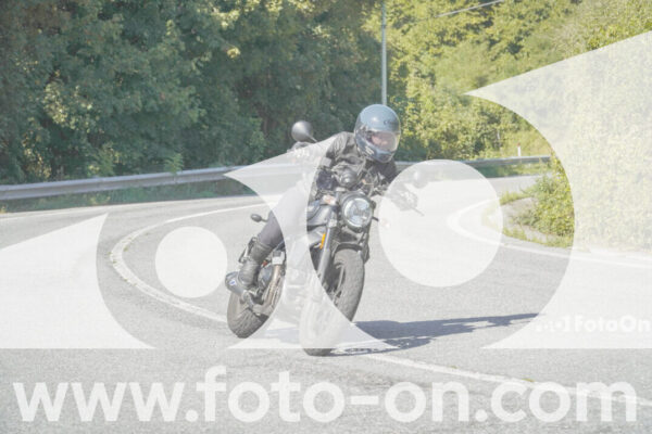 <h1 class="product-title">thumb_FF109656</h1>