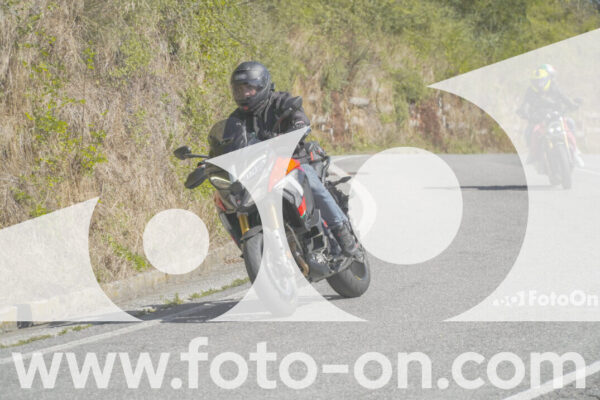 <h1 class="product-title">thumb_FF109676</h1>