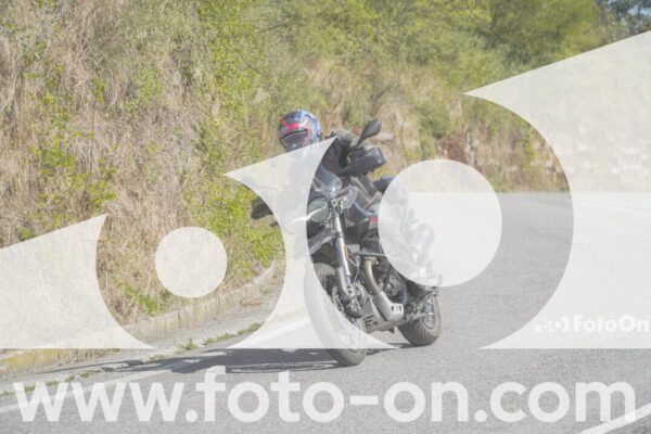 <h1 class="product-title">thumb_FF109692</h1>