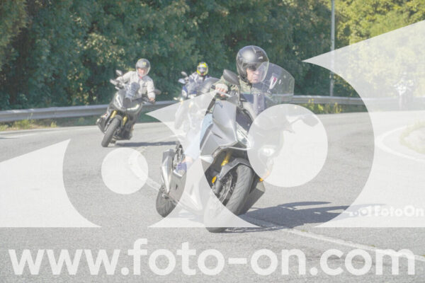 <h1 class="product-title">thumb_FF109697</h1>