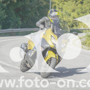 thumb_FF109704