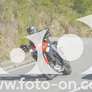 thumb_FF109708