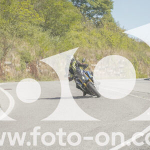 thumb_FF109710