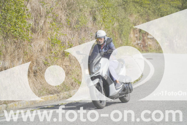 <h1 class="product-title">thumb_FF109714</h1>