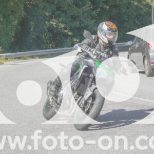 thumb_FF109720