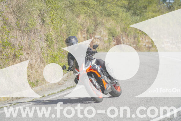 <h1 class="product-title">thumb_FF109738</h1>