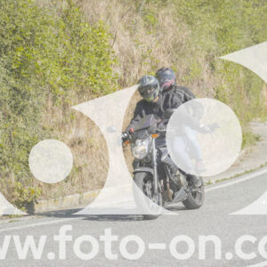 thumb_FF109752