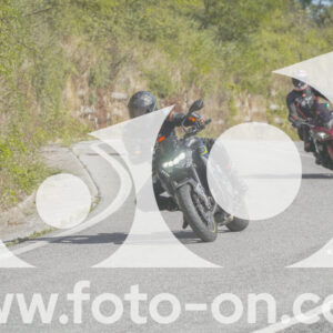 thumb_FF109753