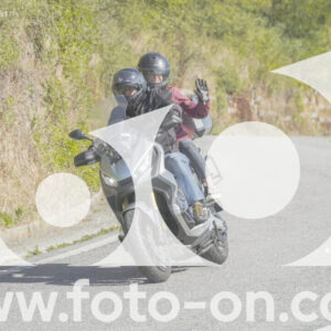 thumb_FF109772