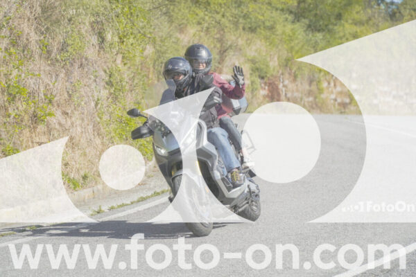 <h1 class="product-title">thumb_FF109772</h1>