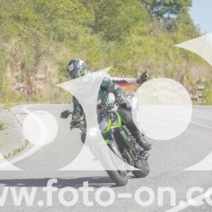 thumb_FF109774
