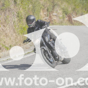 thumb_FF109785
