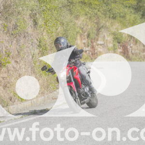 thumb_FF109800