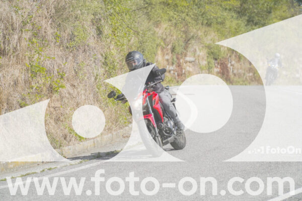 <h1 class="product-title">thumb_FF109800</h1>