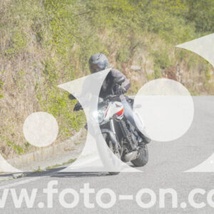 thumb_FF109802