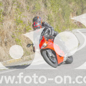 thumb_FF109805