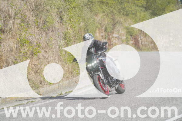 <h1 class="product-title">thumb_FF109806</h1>