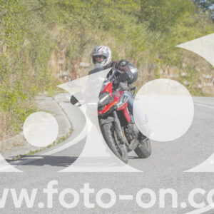 thumb_FF109836