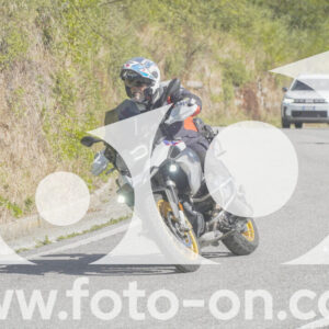 thumb_FF109839