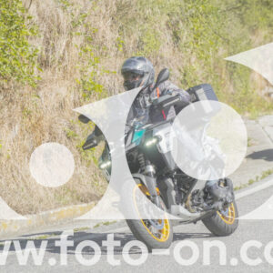 thumb_FF109841