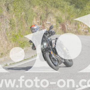 thumb_FF109845