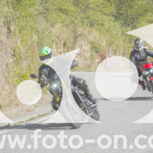 thumb_FF109850