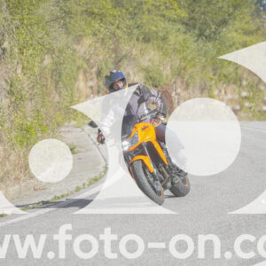 thumb_FF109855