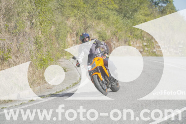 <h1 class="product-title">thumb_FF109855</h1>