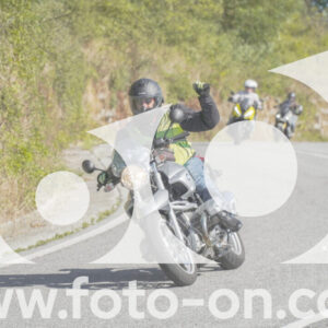 thumb_FF109858