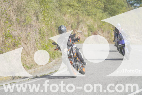 <h1 class="product-title">thumb_FF109865</h1>