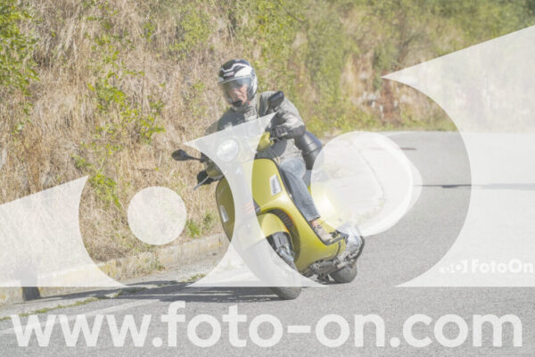 <h1 class="product-title">thumb_FF109870</h1>