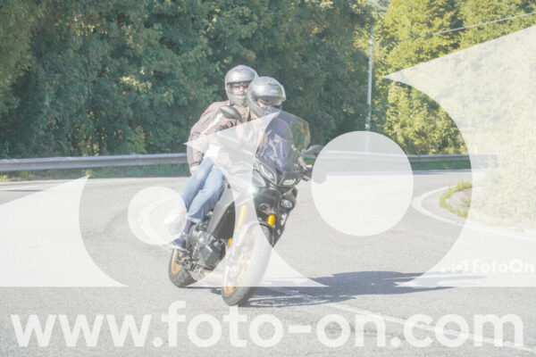 <h1 class="product-title">thumb_FF109879</h1>