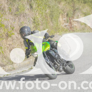 thumb_FF109882