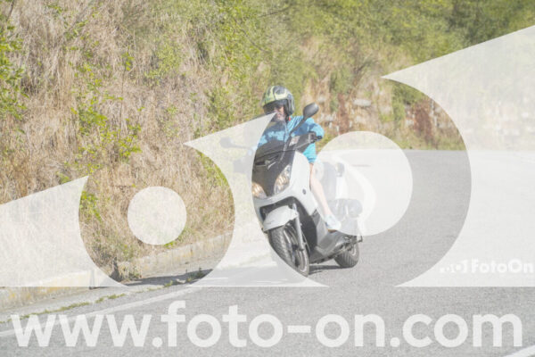 <h1 class="product-title">thumb_FF109889</h1>
