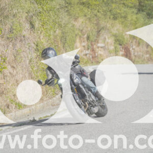thumb_FF109891