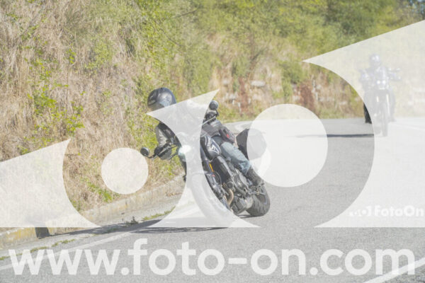 <h1 class="product-title">thumb_FF109891</h1>
