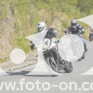 thumb_FF109894