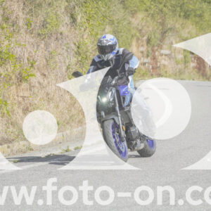 thumb_FF109895