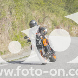 thumb_FF109896