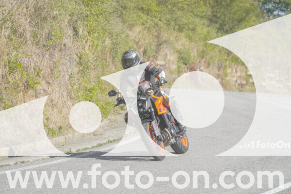 <h1 class="product-title">thumb_FF109896</h1>