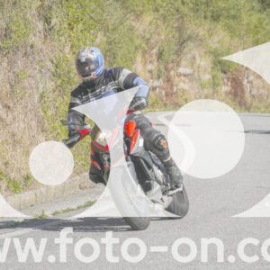 thumb_FF109904